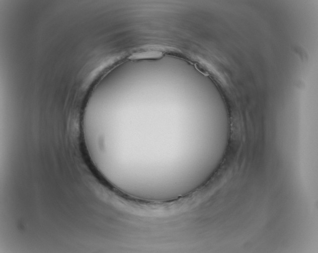 X0000114150015200910221556