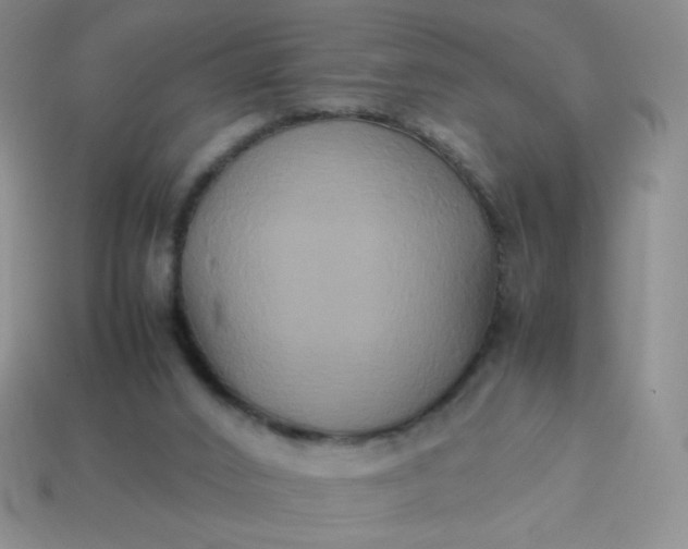 X0000114150016200910221556