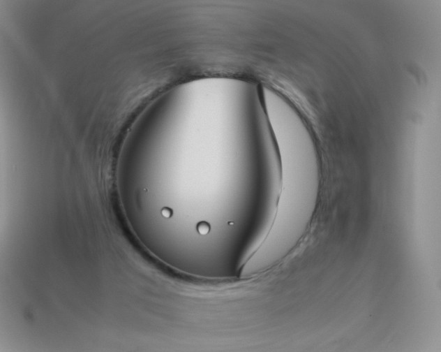 X0000114150017200910221556