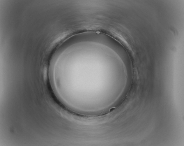 X0000114150019200910221556