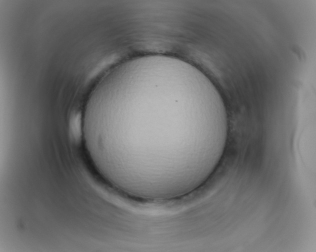X0000114150020200910221556
