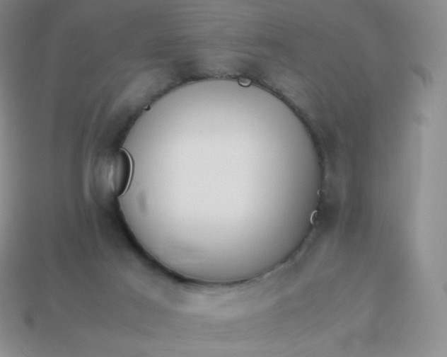 X0000114150021200910221556