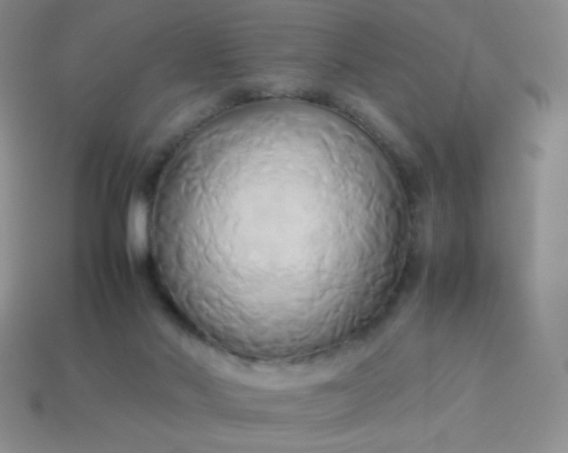 X0000114150022200910221556