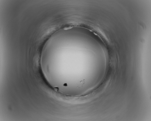 X0000114150023200910221556