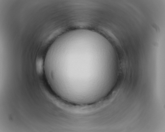 X0000114150024200910221556