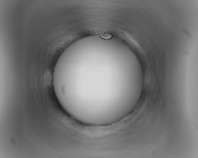 X0000114150025200910221556