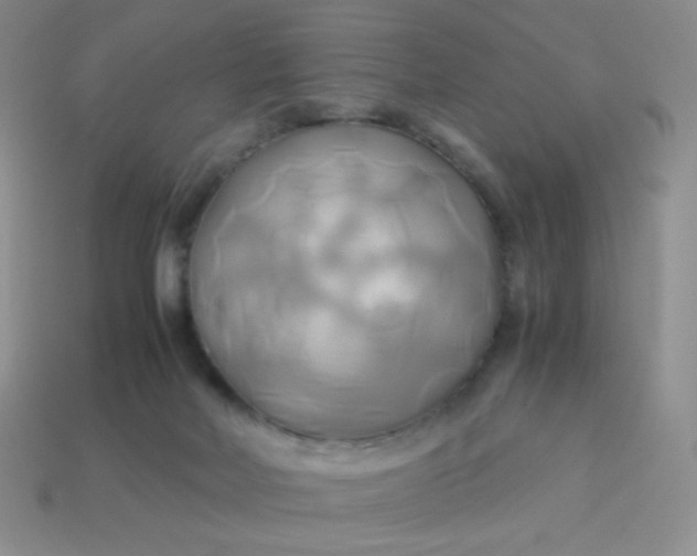 X0000114150026200910221556