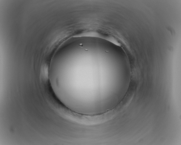 X0000114150027200910221556