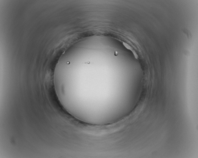 X0000114150029200910221556