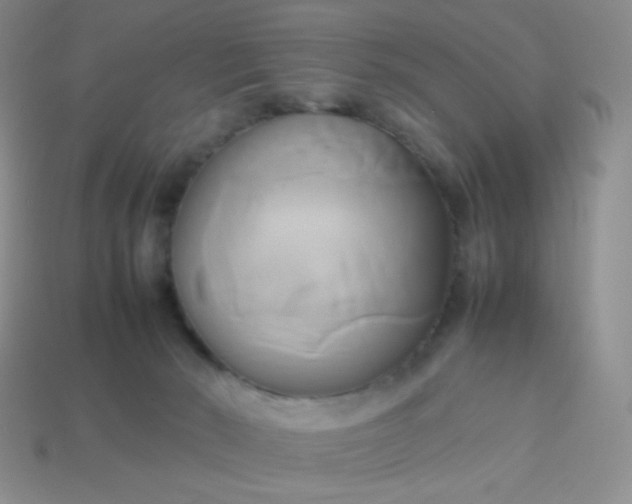 X0000114150030200910221556