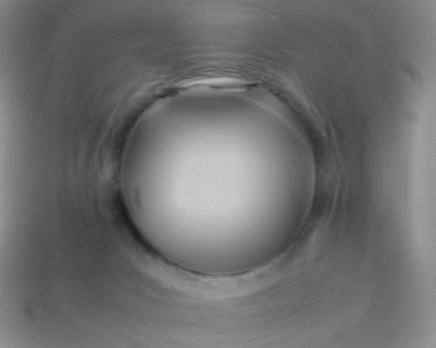 X0000114150031200910221556