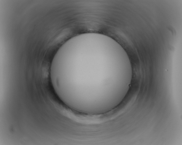 X0000114150032200910221556