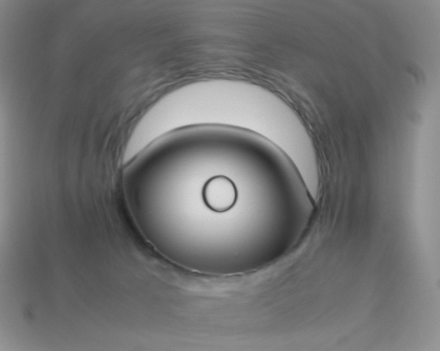 X0000114150033200910221556