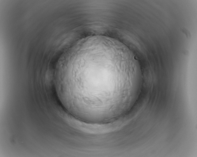 X0000114150034200910221556