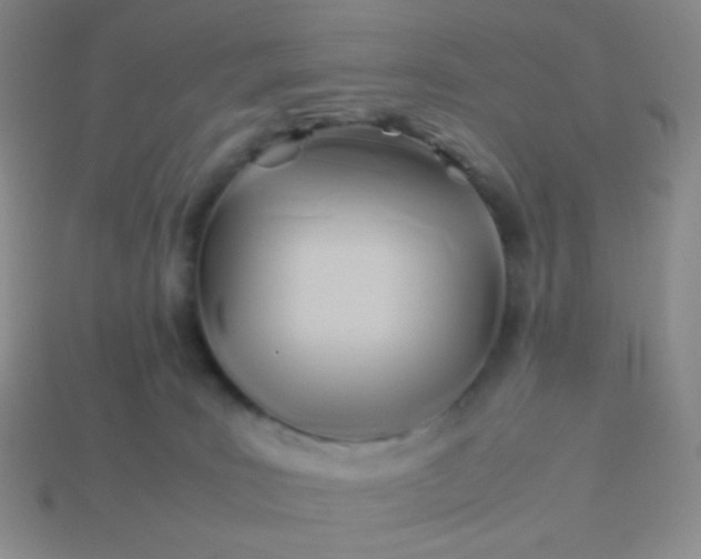 X0000114150035200910221556
