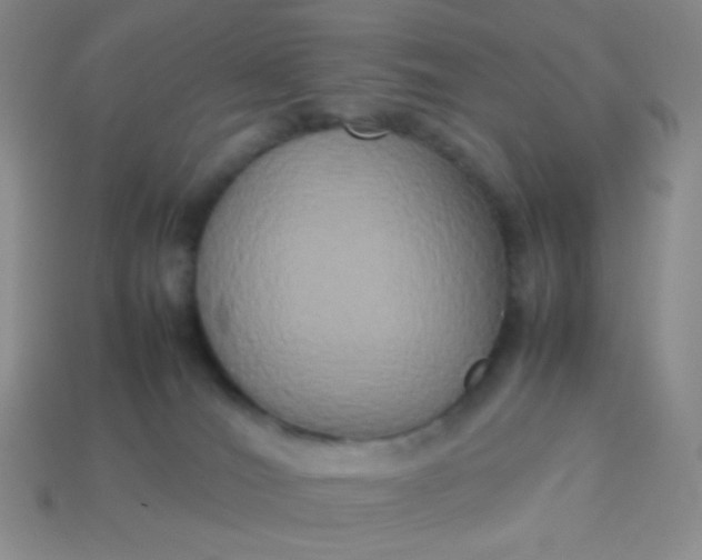 X0000114150036200910221556