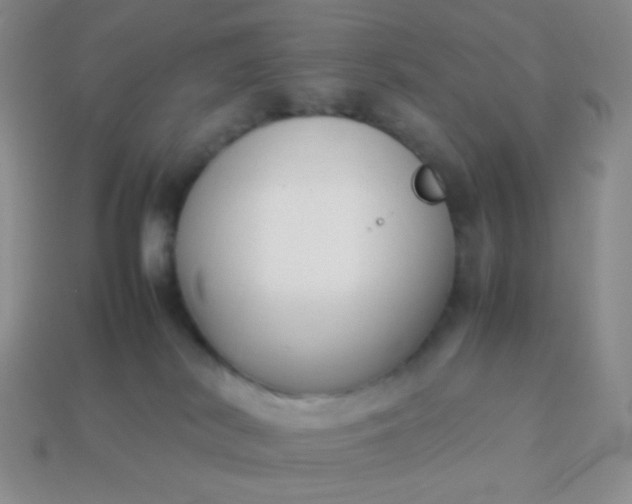 X0000114150038200910221556