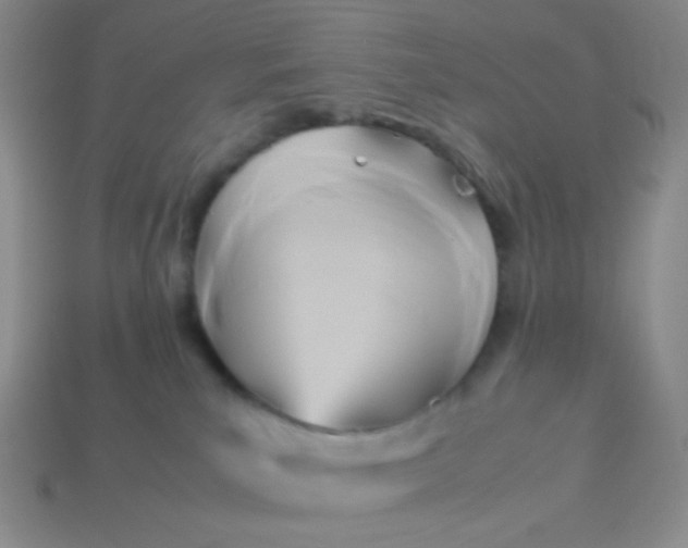 X0000114150039200910221556