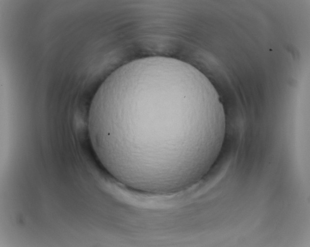 X0000114150040200910221556