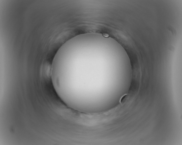 X0000114150041200910221556