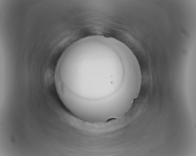 X0000114150043200910221556