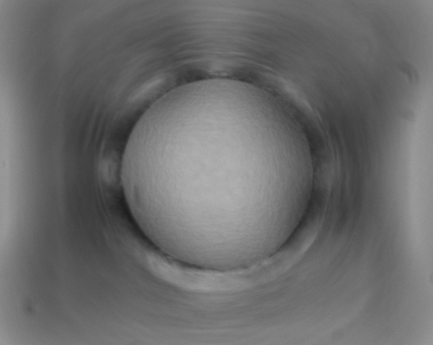 X0000114150044200910221556