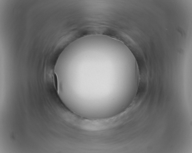 X0000114150045200910221556