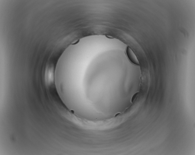 X0000114150046200910221556