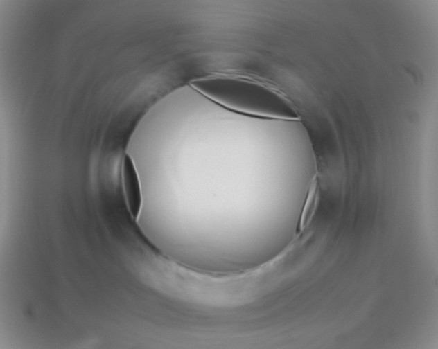 X0000114150047200910221556