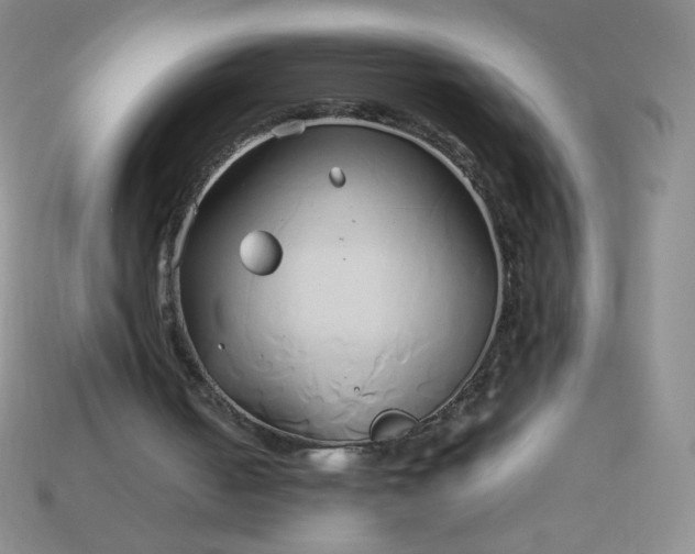 X0000114150050200910221555