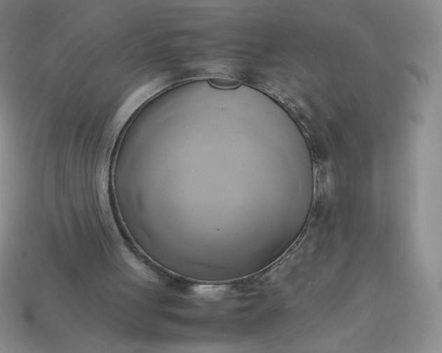 X0000114150051200910221555