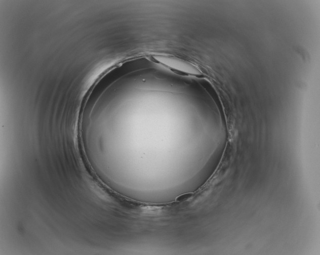 X0000114150052200910221555