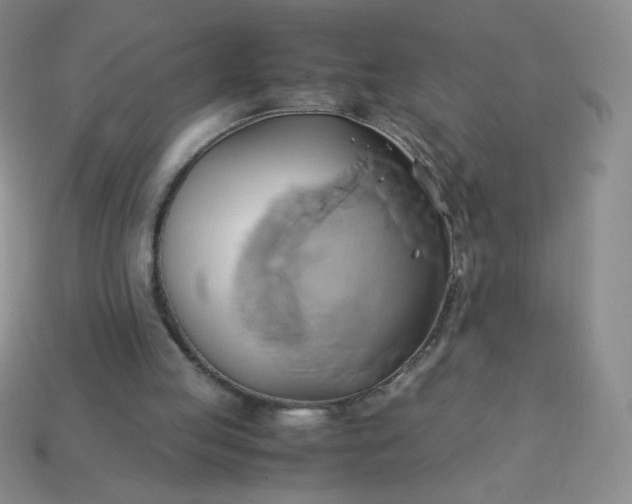 X0000114150053200910221555