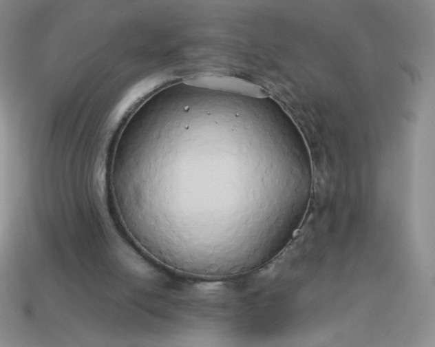 X0000114150054200910221555