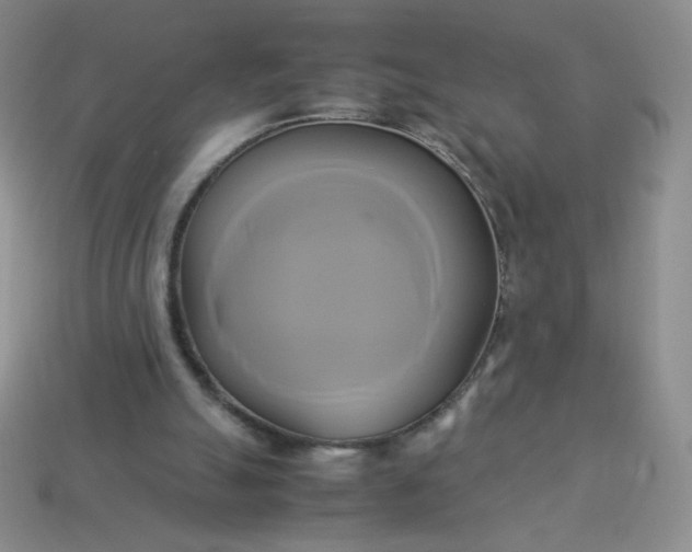 X0000114150055200910221555