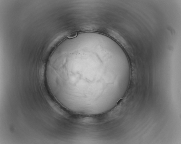 X0000114150058200910221555