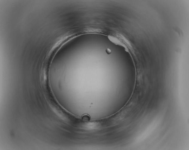 X0000114150059200910221555