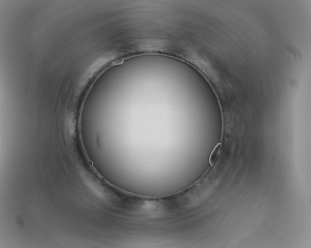 X0000114150060200910221555