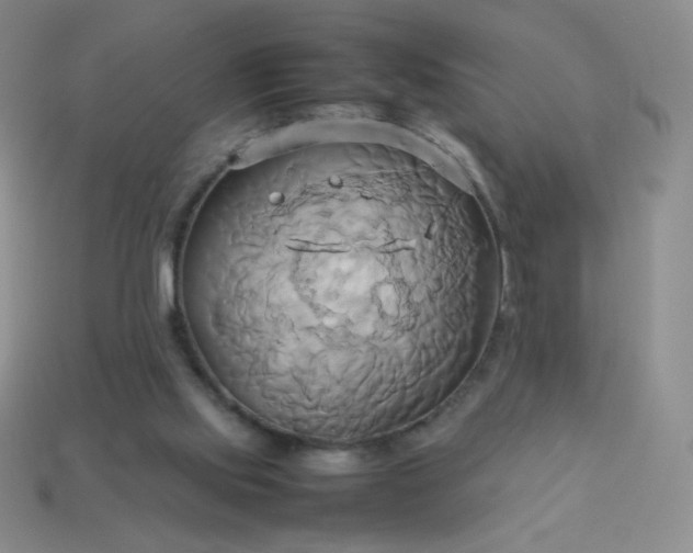 X0000114150061200910221555