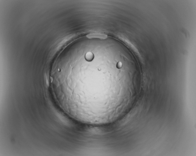 X0000114150062200910221555