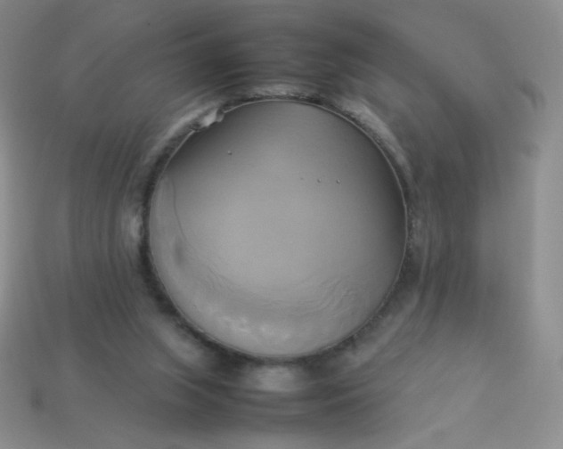 X0000114150063200910221555