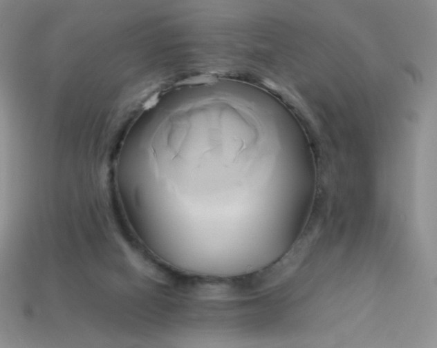 X0000114150066200910221555