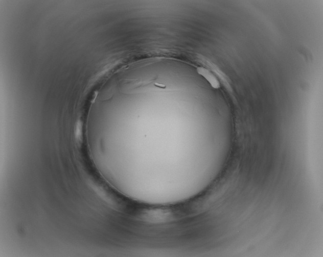 X0000114150067200910221556