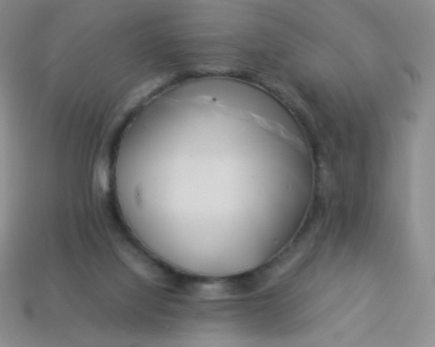X0000114150068200910221556