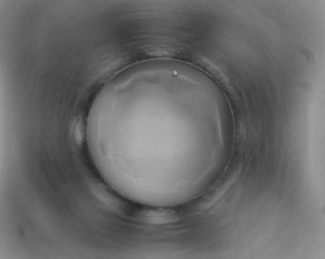 X0000114150069200910221556
