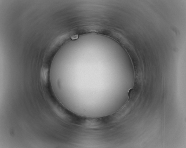 X0000114150070200910221556