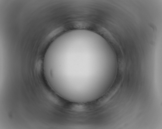 X0000114150071200910221556