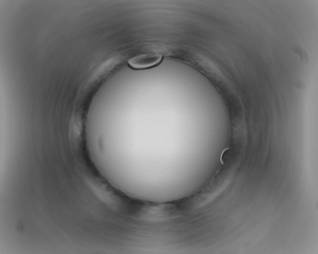 X0000114150072200910221556