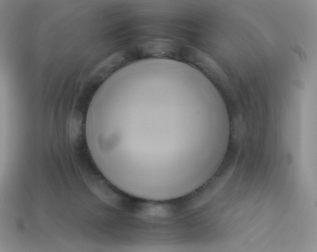 X0000114150073200910221556