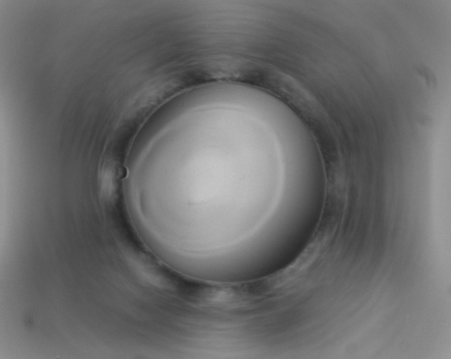 X0000114150074200910221556